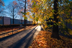 Autunno a Biella