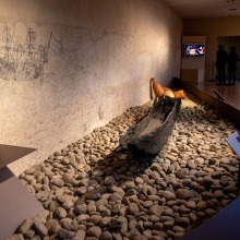 F-BG-Museo-territorio-6
