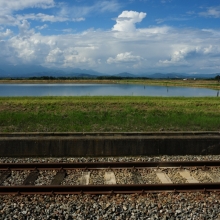 Risaie