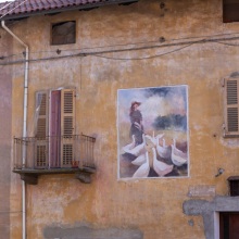 012-Salussola-monte-selezionate