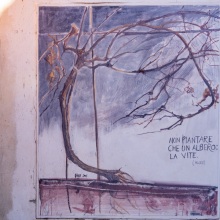 013-Salussola-monte-selezionate