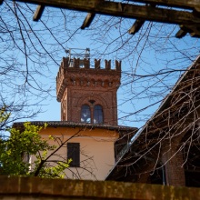 016-Salussola-monte-selezionate