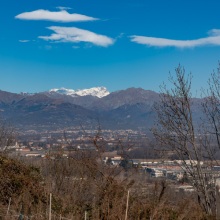 020-Salussola-monte-selezionate