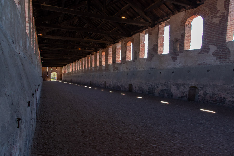 O-VIGEVANO