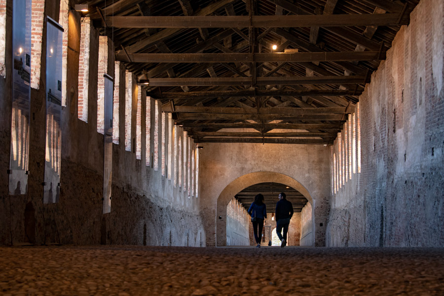 Q-VIGEVANO