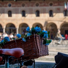 O-Vigevano