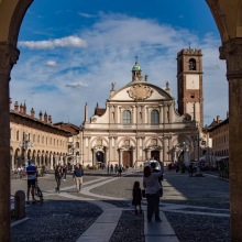 Y-Vigevano